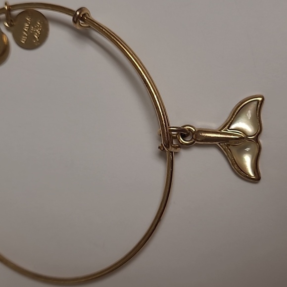 Alex and ani bracelet - Picture 2 of 2